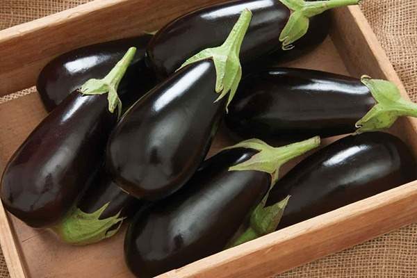 تصویر 4 از قیمت بادمجان دلمه ای شیرین + خرید باور نکردنی